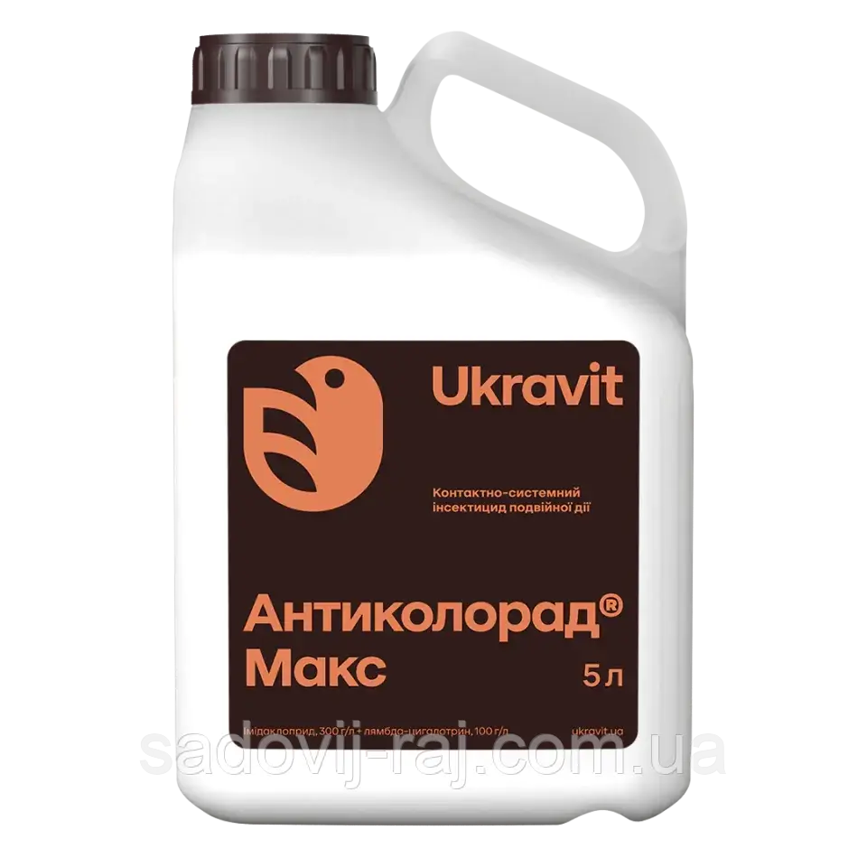 Моншадағы джентльменнің секс видеосы