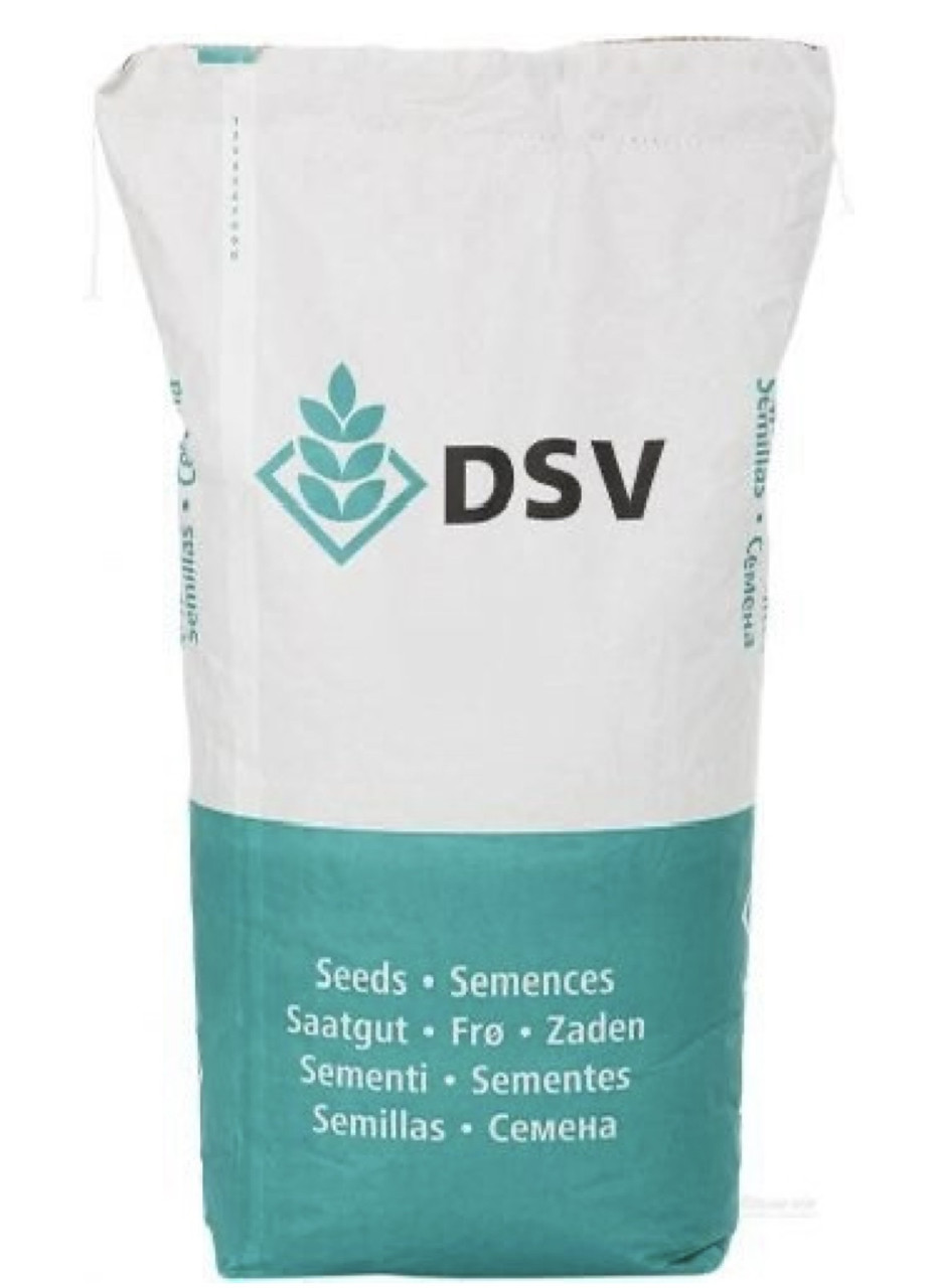 Озимий ріпак Далтон DSV — 1 п.е.