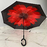 Парасолі і дощовики