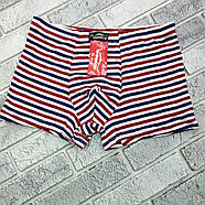 Труси боксери чоловічі ростовка р.XL,2XL,3XL,4XL бавовна+бамбук(10472) VEENICE 30038910, фото 4