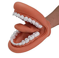 👅Логопедична іграшка "Веселий ротик"