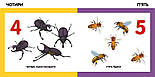 Лічимо комах. Смарт-книги, фото 3