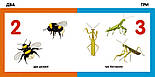Лічимо комах. Смарт-книги, фото 2