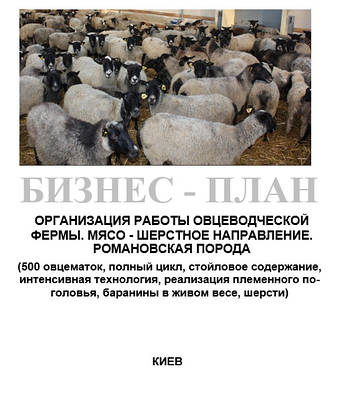 Бізнес - план (ТЕО). Організація роботи тваринницької ферми. Вирощування овець. Вівчарство М'ясо - шерстное напрямок. Повний цикл. 500 вівцематок. Романовська порода., Середній