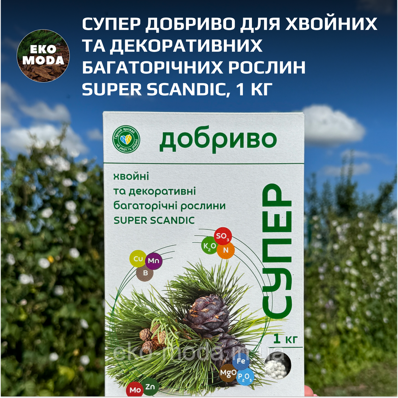 Супер Добриво для хвойних та декоративних багаторічних рослин SUPER SCANDIC, 1 кг, фото 1