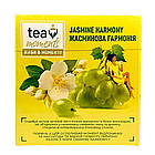 Зелений чай із виноградом, жасмином Tea Moments Jasmine Harmony у пірамідках 20 шт. | Curtis у новому дизайні, фото 4