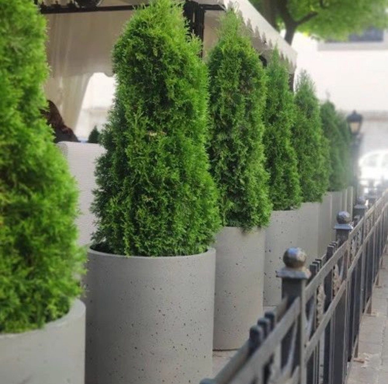 Кашпо бетонне "Циліндр" (Д50 см) для вулиці, саду, дачі та тераси, фото 1