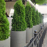 Вазон вуличний "Циліндр" для квітів та дерев, для вулиці, саду, дачі та тераси з бетону, фото 2