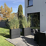 Бетонний вазон серія "Прямокутник" для квітів та дерев, для вулиці, саду, дачі та тераси, фото 9