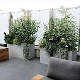 Бетонний вазон серія "Прямокутник" для квітів та дерев, для вулиці, саду, дачі та тераси, фото 10
