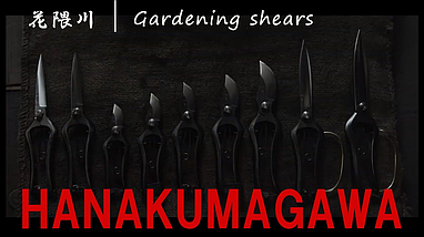 Ножиці для топіарної стрижки Hanakumagawa / Ханакумагава 270 мм із захистом на руків'ї (Японія), фото 5