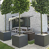 Вазон вуличний серія "Квадрат" для квітів та дерев, для вулиці, саду, дачі та тераси кашпо з бетону, фото 6
