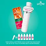 Картридж для напоїв Cirkul Gateway зі смаком малинового чаю 1 упаковка, фото 3
