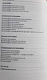 Меллер Т. Б. Норма при рентгенологічних дослідженнях 4-е видання 2018 рік, фото 8