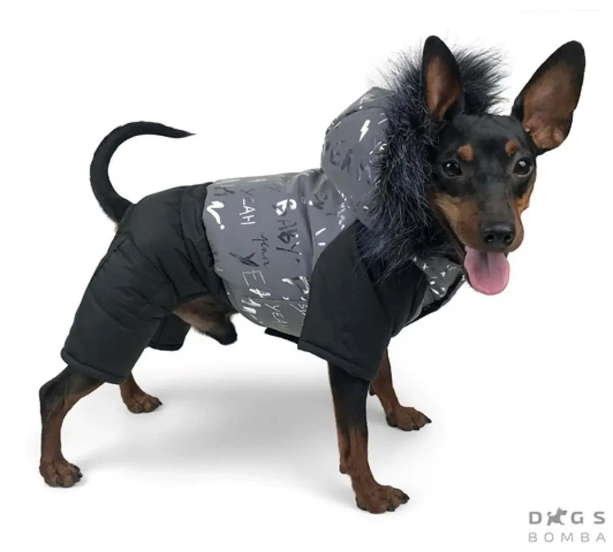 Комбінезон світловидбив 41 см (об'єм до 57см) зимовий розм 9 для собак, фото 1