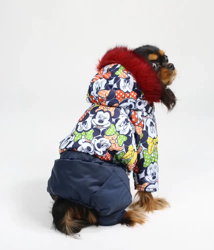 Комбінезон хутро 30 см (об'єм до 42см) зимовий Міккі розм 4 для собак, фото 1