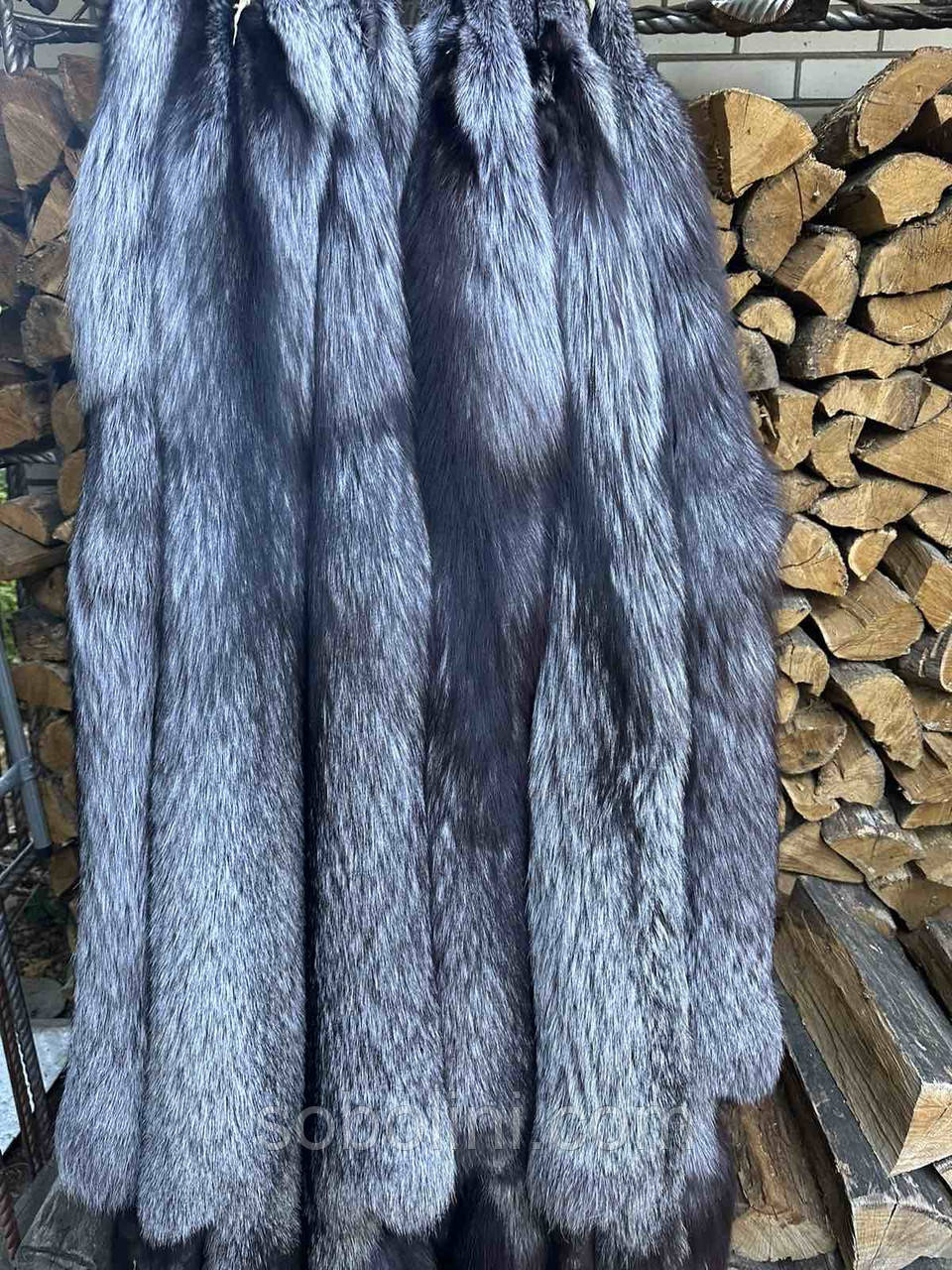 Silver Fox, фото 1