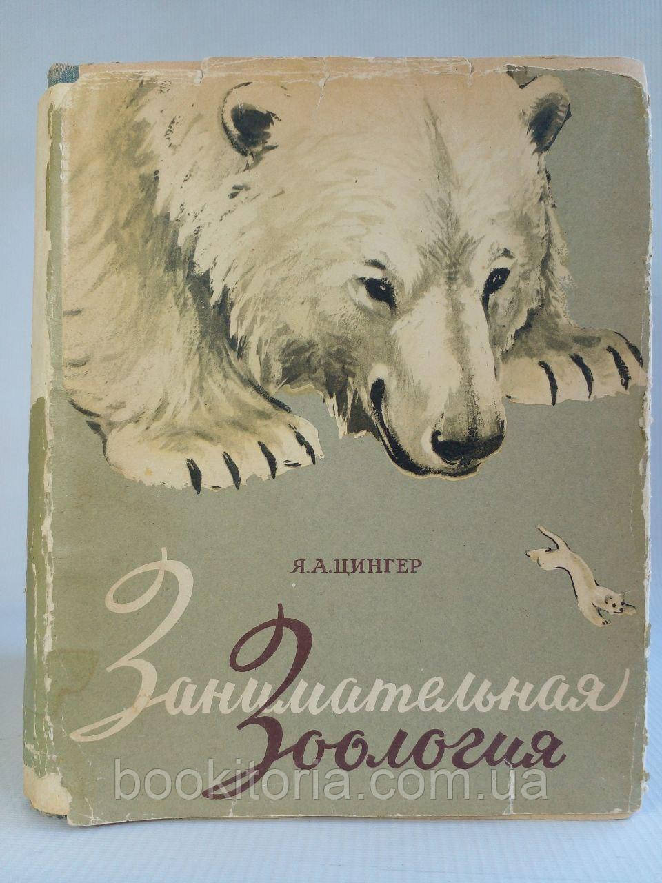Цигер Я.А. Цікава зоологія. (б/у).