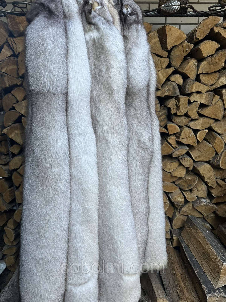 Blue Fox, фото 1