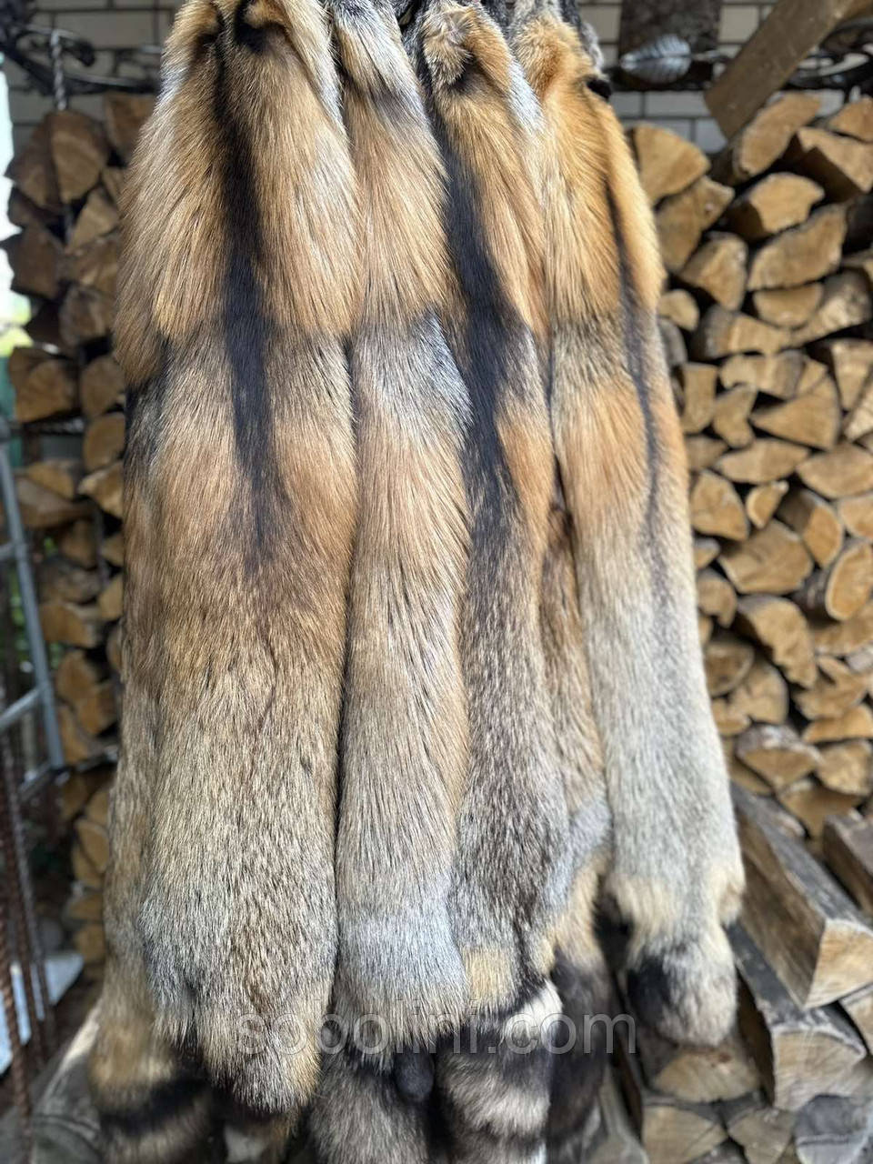 Smokey Fox, фото 1