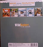 Зошит 18 аркушів лінія картонна обкладинка червоні поля офсетний папір Бріск в асортименті TB18LIN, фото 2