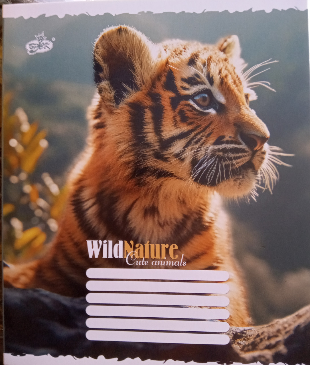 Зошит 18 аркушів лінія картонна обкладинка червоні поля офсетний папір Бріск в асортименті TB18LIN, фото 1