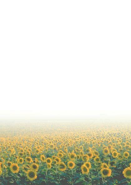 Галерея паперу, 100 г, уп/50 Vincent