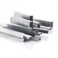 Скобі R 66/6 (5000 шт) Rapid