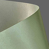 Гал. бум. Картон Дизайнерський, двосторонній, 220 гр, уп/20, Prime - Zielono-kremowy, фото 2