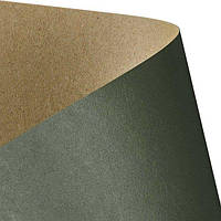 Гал. бум. Картон Дизайнерський, двосторонній, 275 гр, уп/20, Kraft - Zielony