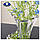 Ваза скляна для квітів Bohemia Florale 36 см 8KA88/99E50/360, фото 9