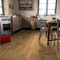  Побутовий лінолеум Evolution