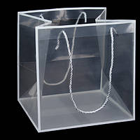 Плайм-пакет 250х220х250 прозорий