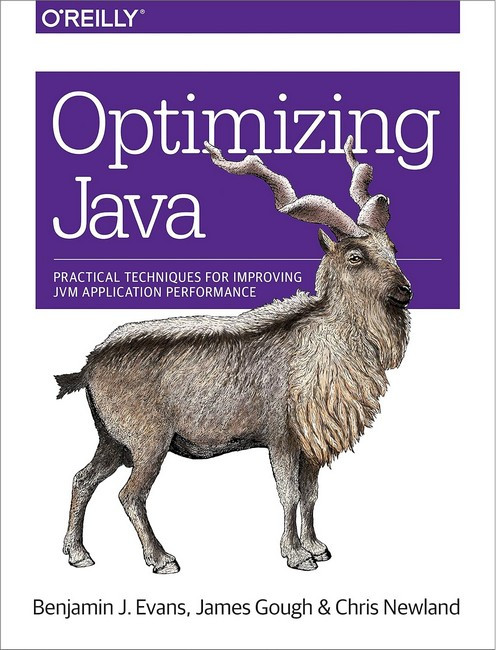 Optimizing Java: Practical Techniques for Improving JVM Application Performance 1st Edition, фото 1