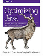 Optimizing Java: Practical Techniques for Improving JVM Application Performance 1st Edition
