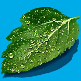 Прилипачі і ад'юванти