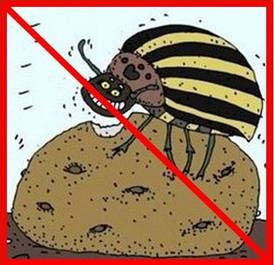 Протруйники