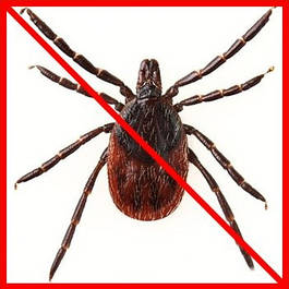 Засоби від кліщів (акарициди)