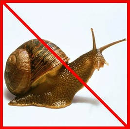 Засоби від равликів, слимаків