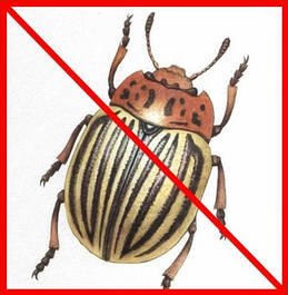 Засоби від колорадського жука