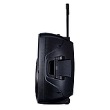Колонка акумуляторна з радіомікрофонами TMG ORIGINAL A19T (Bluetooth/USB/SD), фото 6