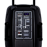 Колонка акумуляторна з радіомікрофонами TMG ORIGINAL A19T (Bluetooth/USB/SD), фото 3