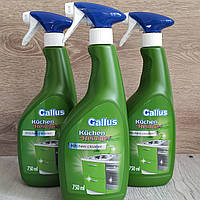 Засіб для чищення кухонних поверхонь Gallus Spray Kuchen Reiniger, 750 мл