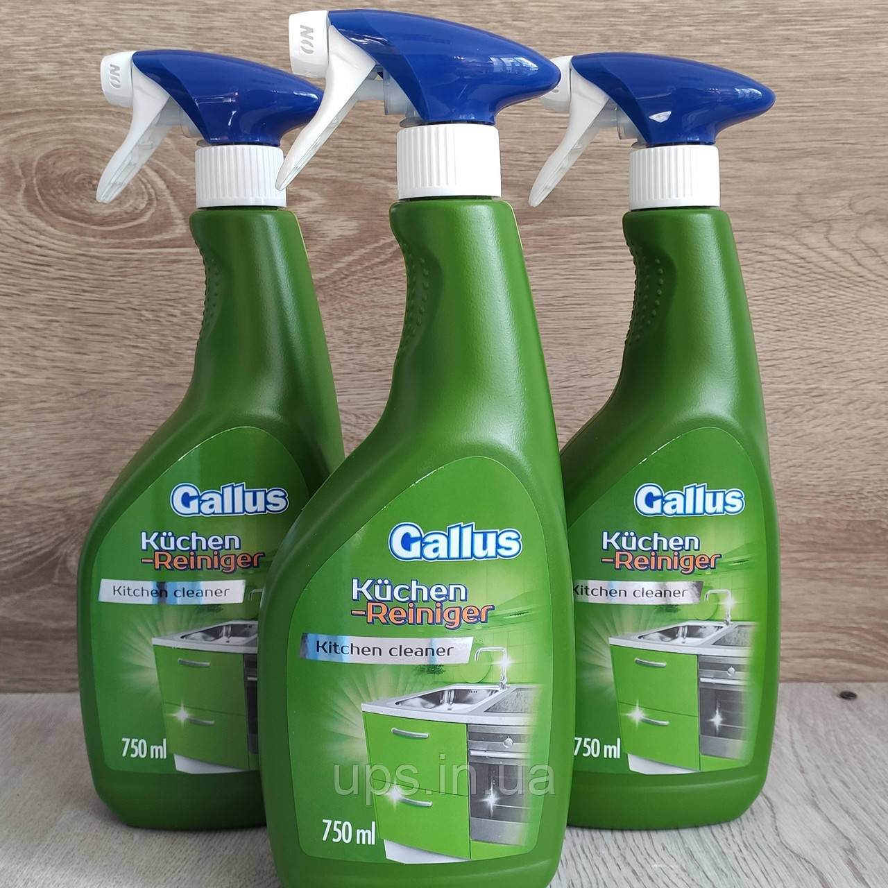 Засіб для чищення кухонних поверхонь Gallus Spray Kuchen Reiniger, 750 мл, фото 1