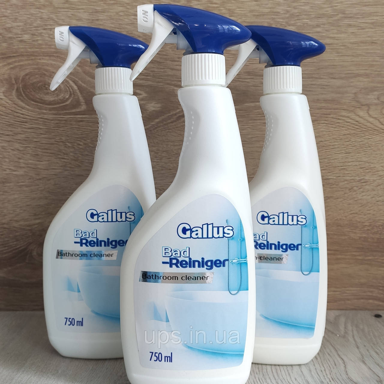 Засіб для видалення вапняного нальоту та іржі Gallus Spray, 750 мл, фото 1