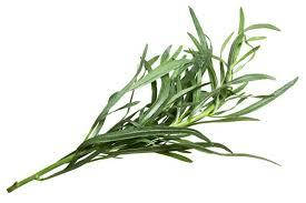 Ароматизатор Тархун( екстрагон і ваніль) харчовий рідкий водорозчинний ідентичний натуральному