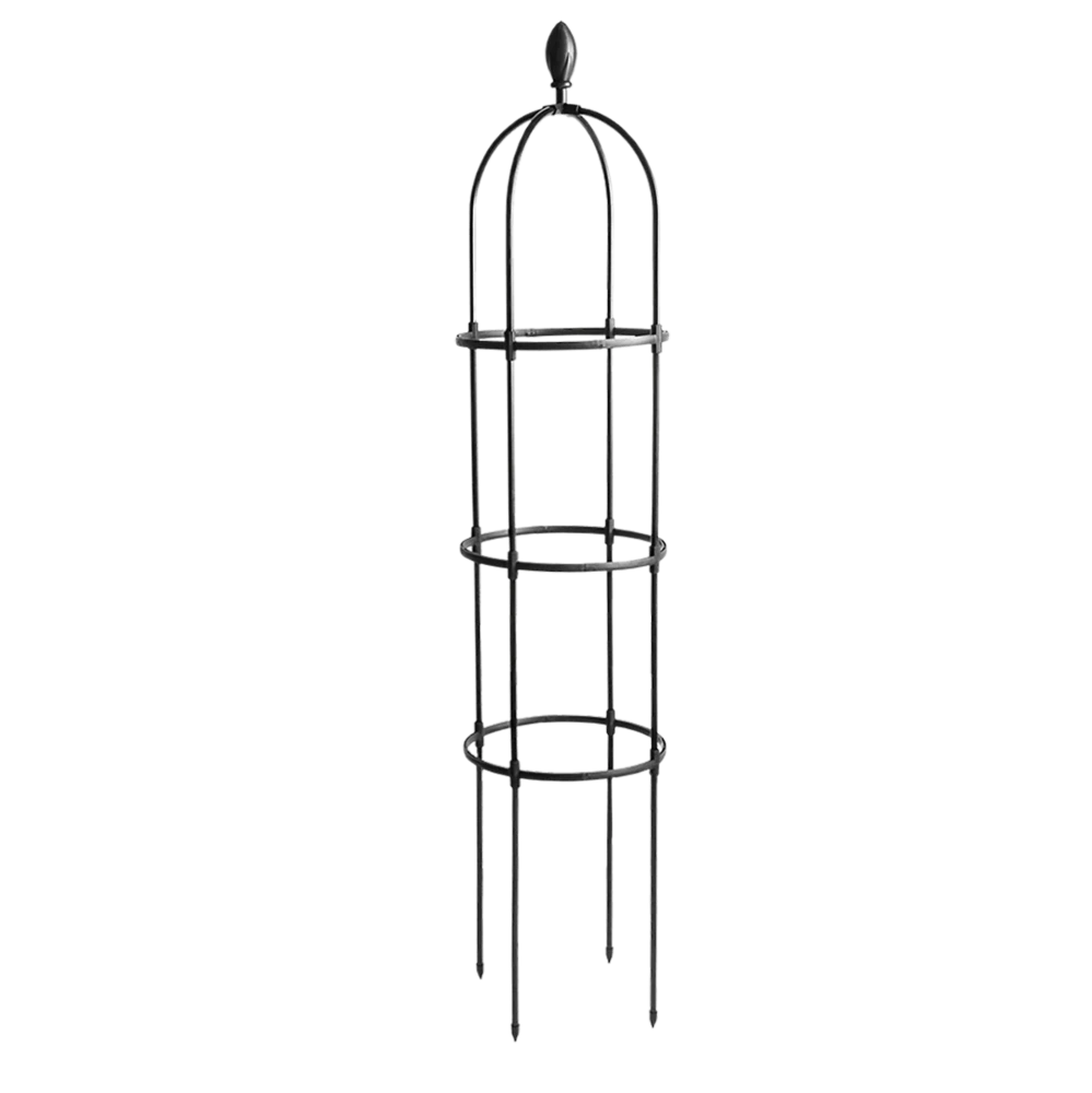 Металева пергола для троянд Cultivo чорний
