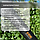 Сокира плотницька Fiskars S-X10, фото 3