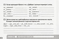 4 клас НУШ. Українська мова. Діагностувальні завдання для формувального оцінювання (Вашуленко М. С. Дубовик, фото 5