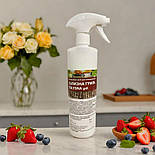 Білизна гриль 500 мл для чищення плит, духовок грилів та грат барбекю, фото 10